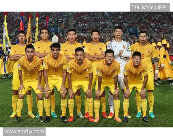 杭州足球队在世界杯预选赛中的团队协作表现分析与点评