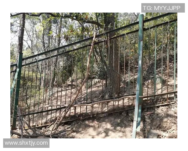 南京攀岩队防守革新之路探索与实践的深度剖析与启示 南京攀岩队防守革新之路探索与实践的深度剖析与启示