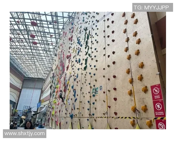 广州攀岩队战术变革引发热议攀岩运动新趋势探讨