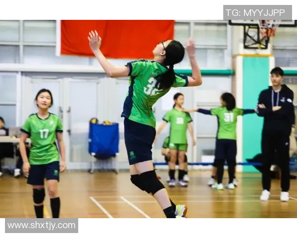 深圳网球队战术解析与对比深度剖析球队风格与战术布局的独特之处