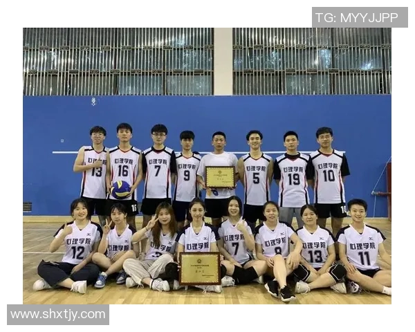 南京排球队意识探讨：提升团队协作与竞技水平的关键因素分析