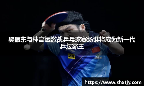 樊振东与林高远激战乒乓球赛场谁将成为新一代乒坛霸主