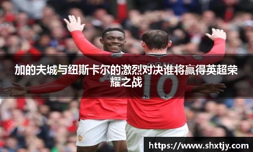 华体会平台