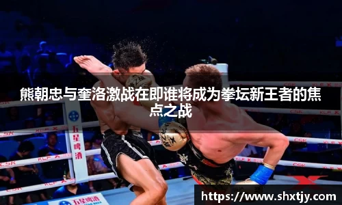 熊朝忠与奎洛激战在即谁将成为拳坛新王者的焦点之战
