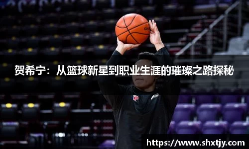 贺希宁：从篮球新星到职业生涯的璀璨之路探秘