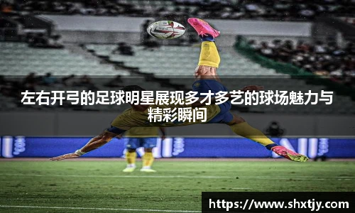 必一运动bsport体育